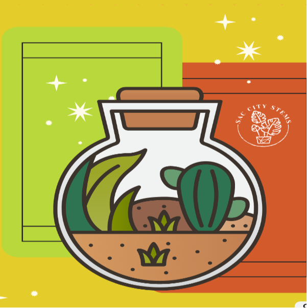 BYO Terrarium Workshop