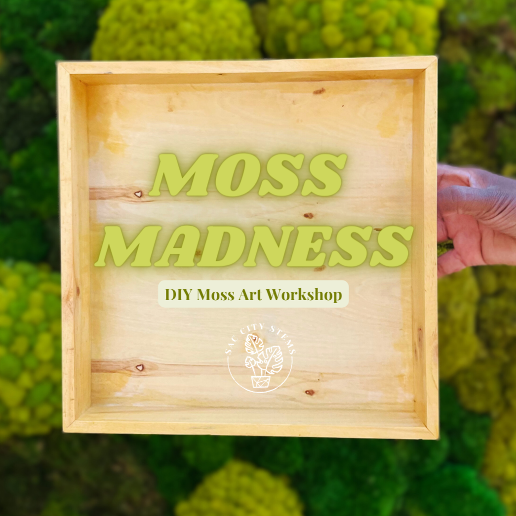 Moss Madness: DIY Moss Art